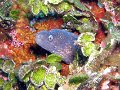 060602-060605 - Saint-Cyr-sur-Mer
