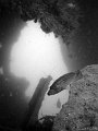 060714-060716 - Lanildut